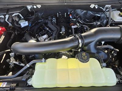 New 2025 Ford Expedition - photo 1