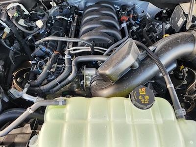 New 2025 Ford F-150 - photo 1