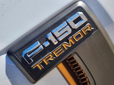 New 2025 Ford F-150 - photo 1