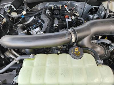 New 2025 Ford F-150 - photo 1