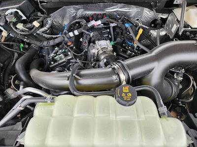 New 2025 Ford F-150 - photo 1