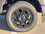 2025 Ford F-250 Crew Cab 4x4 Pickup for sale #S5437 - photo 6