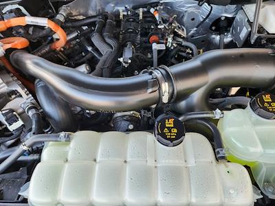 New 2025 Ford F-150 - photo 1