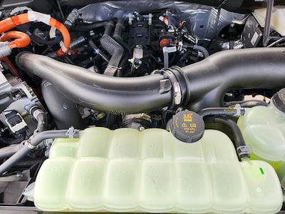 New 2025 Ford F-150 - photo 1