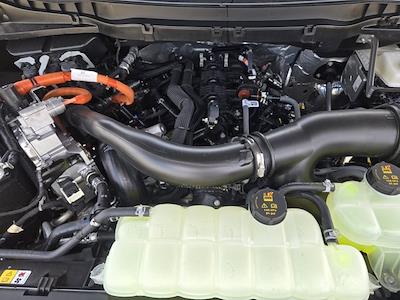 New 2025 Ford F-150 - photo 1