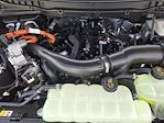 2025 Ford F-150 SuperCrew Cab 4x4 Pickup for sale #S6367 - photo 22