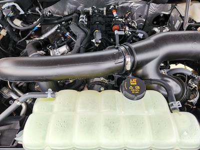 New 2025 Ford F-150 - photo 1