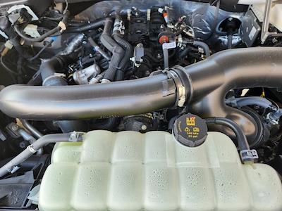 New 2025 Ford F-150 - photo 1