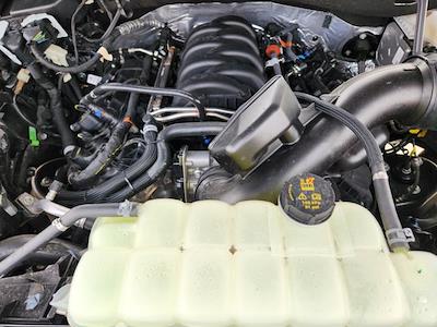 New 2025 Ford F-150 - photo 1