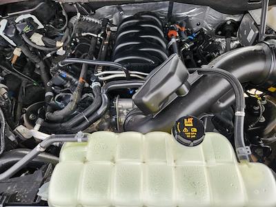 New 2025 Ford F-150 - photo 1