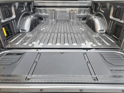 New 2025 Ford F-150 Lightning - photo 1