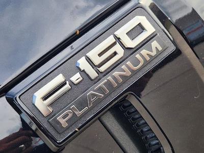 New 2025 Ford F-150 - photo 1