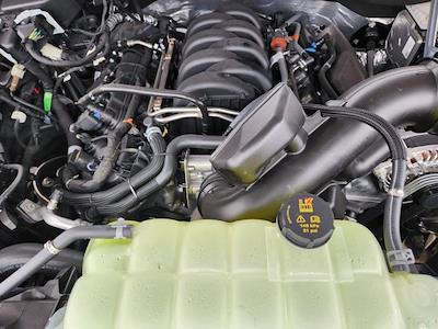 New 2025 Ford F-150 - photo 1