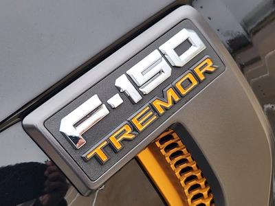 2025 Ford F-150 SuperCrew Cab 4x4 Pickup for sale #S6954 - photo 2