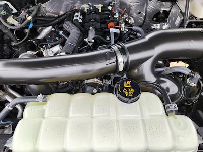 New 2025 Ford F-150 - photo 1