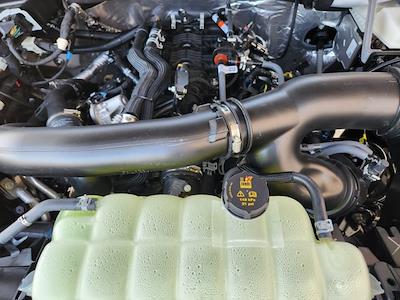 New 2025 Ford F-150 - photo 1