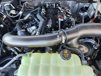 New 2025 Ford F-150 - photo 1