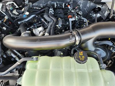 New 2025 Ford F-150 - photo 1