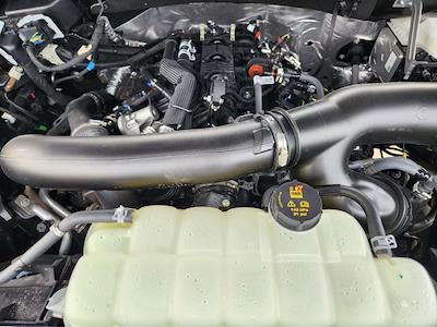 New 2025 Ford F-150 - photo 1