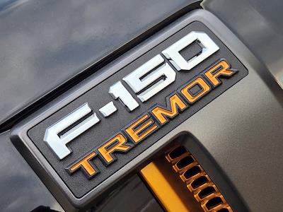 New 2025 Ford F-150 - photo 1