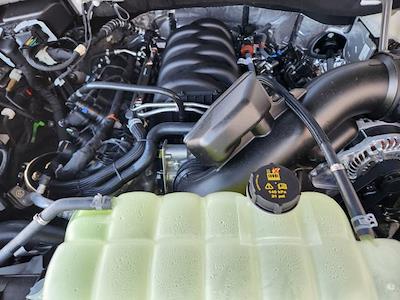 New 2025 Ford F-150 - photo 1