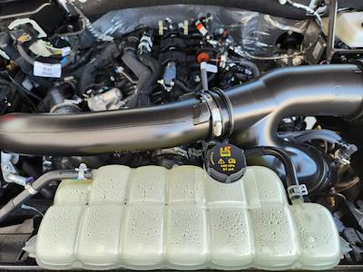 New 2025 Ford Expedition - photo 1