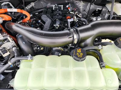 New 2025 Ford F-150 Platinum SuperCrew Cab for sale #S7227 - photo 2