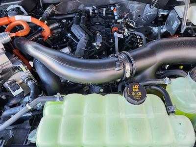 New 2025 Ford F-150 - photo 1