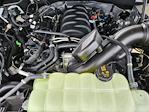 New 2025 Ford F-150 XLT SuperCrew Cab for sale #S7255 - photo 3
