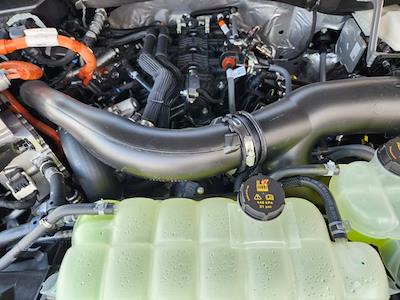 New 2025 Ford F-150 - photo 1