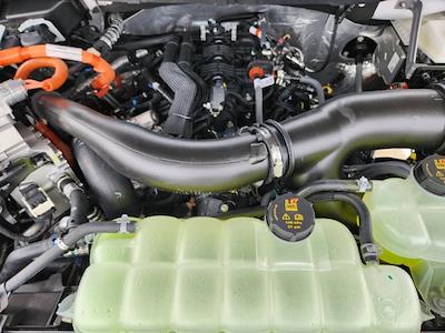 New 2025 Ford F-150 - photo 1