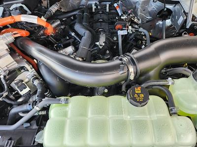 New 2025 Ford F-150 - photo 1