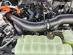 2025 Ford F-150 SuperCrew Cab 4x4 Pickup for sale #S7290 - photo 22