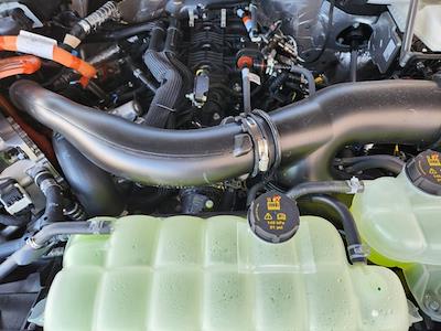 New 2025 Ford F-150 - photo 1