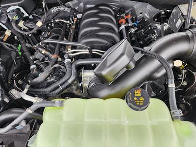 2025 Ford F-150 SuperCrew Cab 4x4 Pickup for sale #S7335 - photo 2