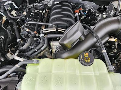 New 2025 Ford F-150 - photo 1