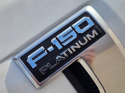 New 2025 Ford F-150 - photo 1