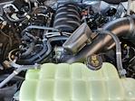 2026 Ford F-150 SuperCrew Cab 4x4 Pickup for sale #T5180 - photo 22
