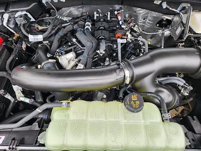 New 2026 Ford Expedition Tremor for sale #T5191 - photo 2