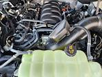 2026 Ford F-150 SuperCrew Cab RWD Pickup for sale #T5204 - photo 22
