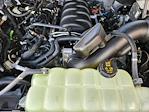 2026 Ford F-150 SuperCrew Cab 4x4 Pickup for sale #T5263 - photo 22