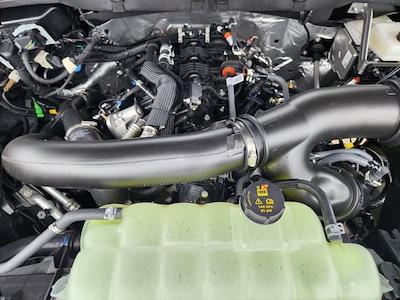 New 2026 Ford F-150 XLT SuperCrew Cab for sale #T5303 - photo 1