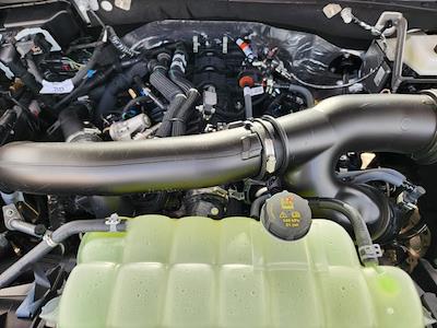 New 2026 Ford Expedition - photo 1