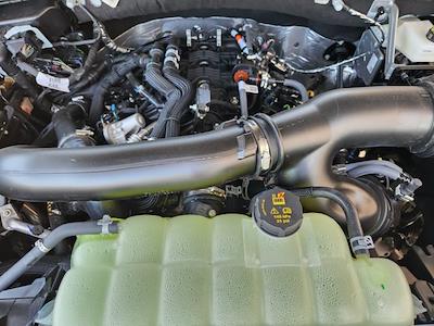 New 2026 Ford Expedition MAX - photo 1