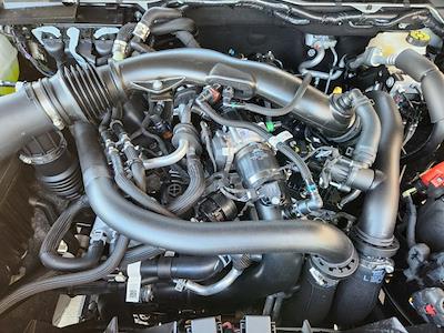 New 2026 Ford Ranger - photo 1