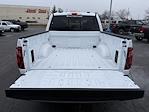 New 2025 Ford F-150 XLT SuperCrew Cab for sale #TR25522 - photo 12