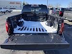 New 2026 Ford F-150 XLT SuperCrew Cab for sale #TR26069 - photo 10