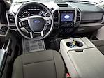 2020 Ford F-150 SuperCrew Cab 4WD Pickup for sale #722761 - photo 9