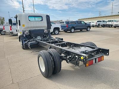 2024 Isuzu NPR-HD Regular Cab 4x2 Cab Chassis for sale #I20004 - photo 2