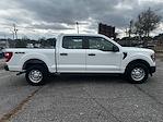 Used 2021 Ford F-150 SuperCrew Cab for sale #30094 - photo 5